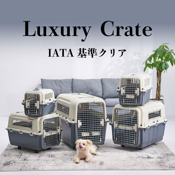 IATA基準クリア ラグジュアリークレート