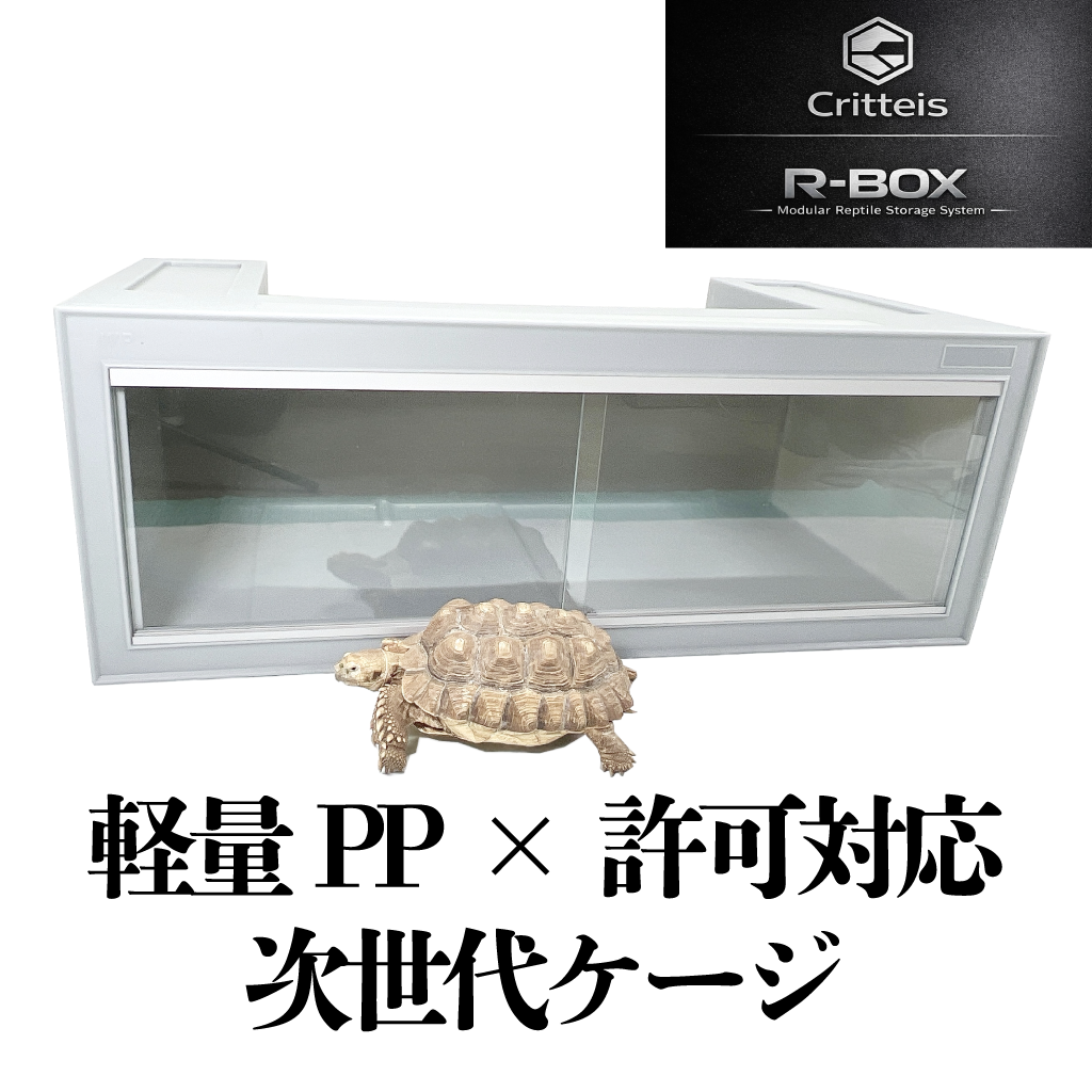 R-BOX 「増える」前提で考えた。